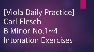 Viola Scale Carl Flesch B Minor No.1~4 Scale System 1 Octave Each String Play Along Piano