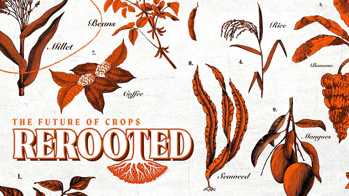 Introducing: Rerooted