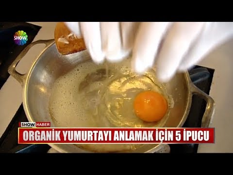 Video: Katı organik: erkekler çürük yumurta kehribarıyla açılır