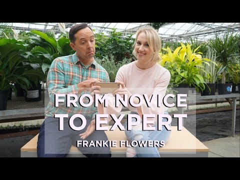 From Novice to