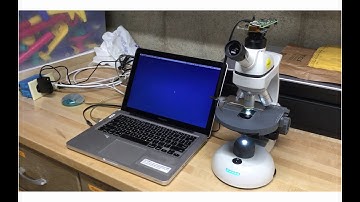 Raspberry Pi Zero Microscope USB Webcam using ShowMeWebCam