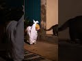 kucing prank kucing yang lagi santai #funny #kucing #lucu