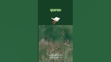 #سورة_الشورى||من الآية 25 إلى الآية 27 || #quran #duet #beautiful #quran #reels  #quotes #explore