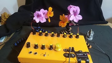 Generative Ambient Music #7- "Analog Visualization"-Mini Choreography with Servo Motors