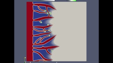 Phase Field Model of Angiogenesis simulated in 2D with Mocafe
