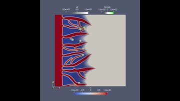 Phase Field Model of Angiogenesis simulated in 2D with Mocafe