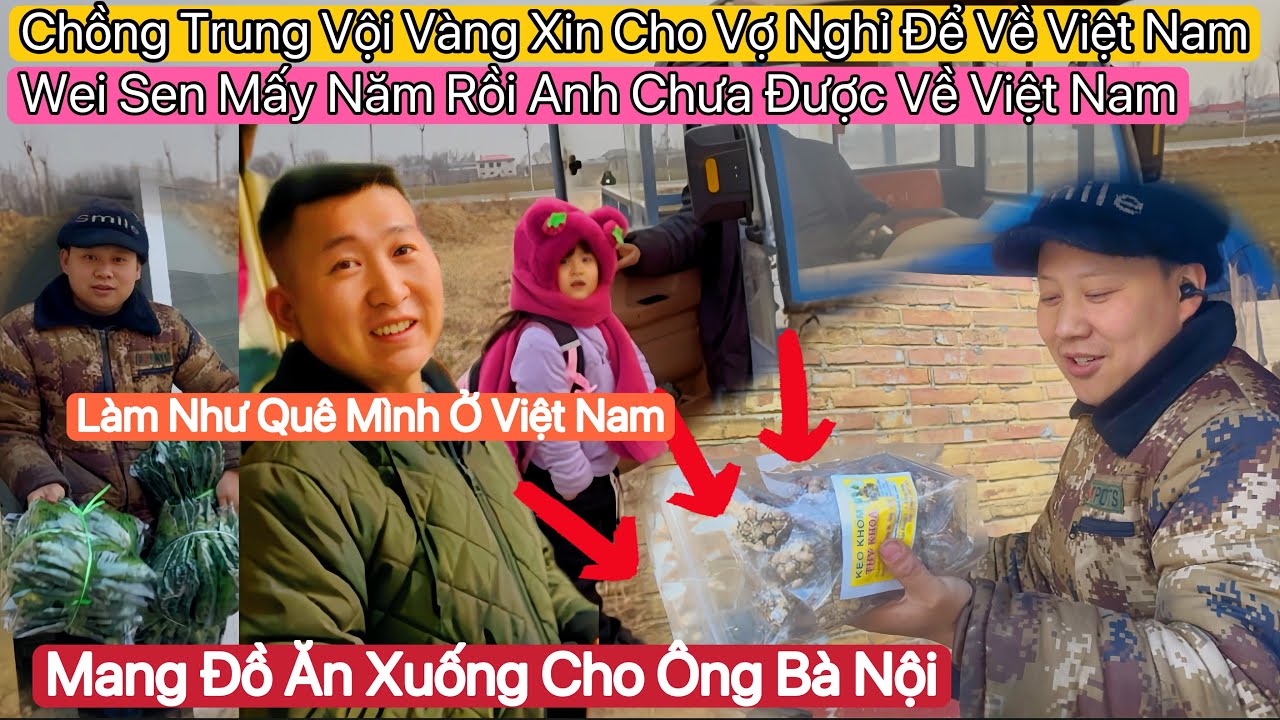#90🇻🇳🇨🇳Phản Ứng Của Bà Nội Sau 1 Tháng Gặp Lại Cháu .Chồng Trung Nôn Nao Về Việt Nam Còn Hơn Vợ Mình