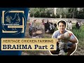 HERITAGE CHICKEN FARMING: BRAHMA Part 2