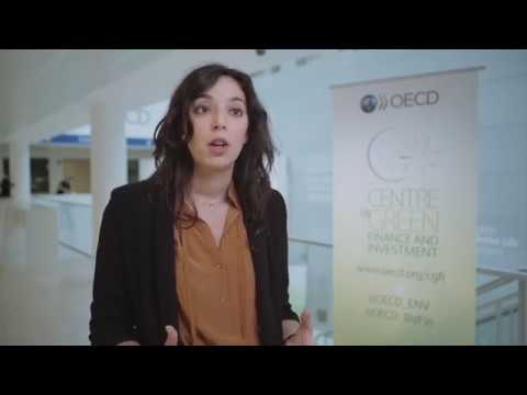 OECD S Policy Dialogues On Green Finance And Investment Geraldine Ang