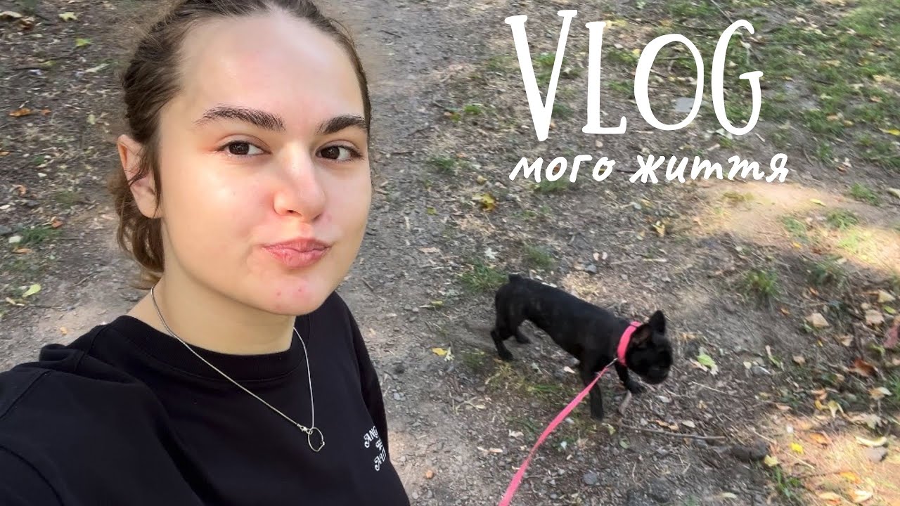 VLOG / кухонні будні / рецепт тірамісу / знайшли кішечку 