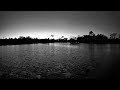Project Storm Live Stream