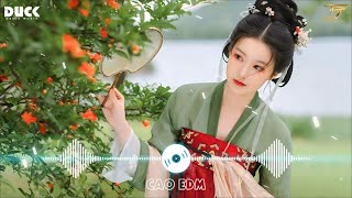 Nhạc TikTok Trung Quốc Lời Việt Remix ♫ LK Nhạc Hoa Lời Việt Remix Hay Nhất 2023