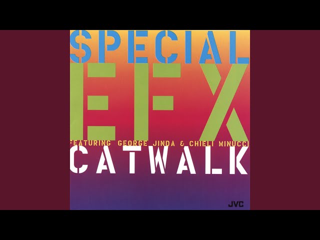 SPECIAL EFX - THE NITTY GRITTY