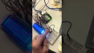 LCD test and button
