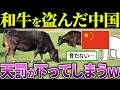 中国「和牛パクろ！」→結果、大損害を食らってしまうw【海外の反応＆ゆっくり解説】