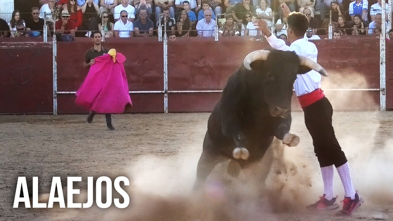Alaejos 2024 Campeonato con Toros Bravos