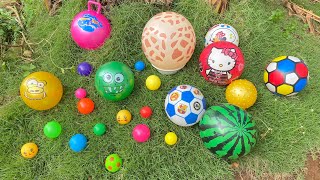 Looking for Soccer Ball, Colorful Ball, Watermelon Ball, Chicken, Duck, Car, Truck, Tayo, Balloon 99