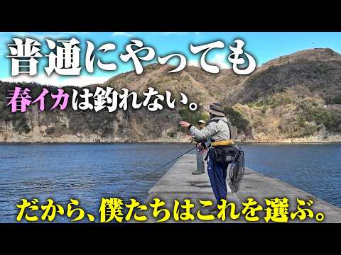 エギング初心者が春イカを釣るためにやったこと。難しい時期だからこそ、⚪︎⚪︎へ行ってみて欲しい。のサムネイル