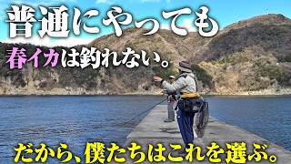 エギング初心者が春イカを釣るためにやったこと。難しい時期だからこそ、⚪︎⚪︎へ行ってみて欲しい。