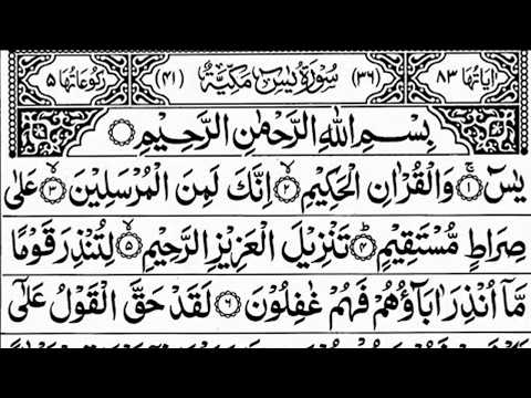 Surah Yaseen Surah Ar Rahman | Best Quran Recitation | Surah Yasin Tilawat | Episode_002