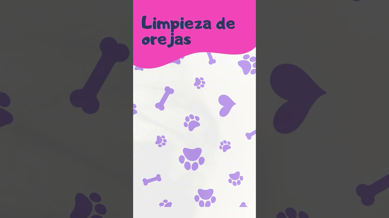 Limpieza de los cachorros en las orejas, beneficios y tips