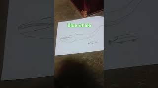 วาฬสีน้ำเงิน #drawing