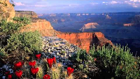 Franco Cesarini: Arizona