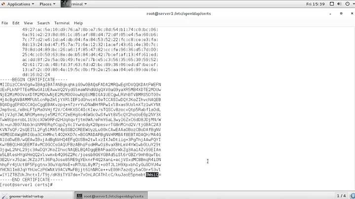 157 -  17.8 Using The Openssl Commnad For Testing Tls Certificates