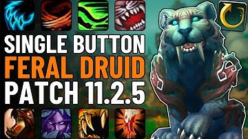 One Button Feral Druid Guide | Single-Button DPS in WoW Patch 11.2.5