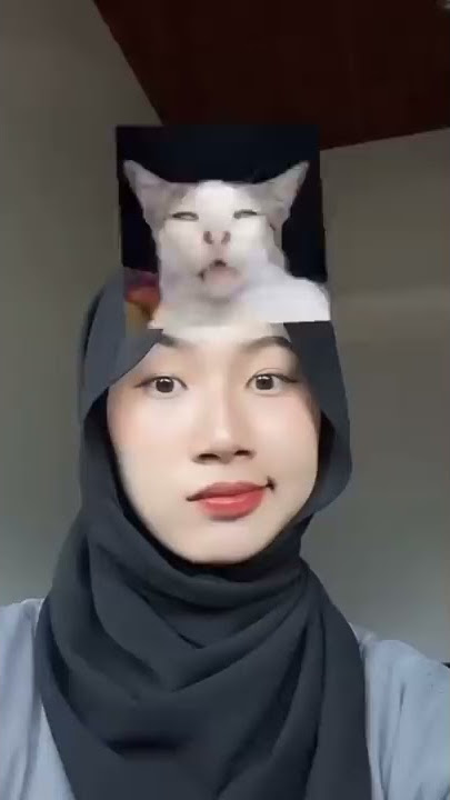 Jedag Jedug CapCut || TikTok Viral [ Meme Cat Test ]