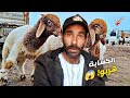 الكسابة تخلاو على الغنم شنو واقع فعلا بعد إلغاء العيد
