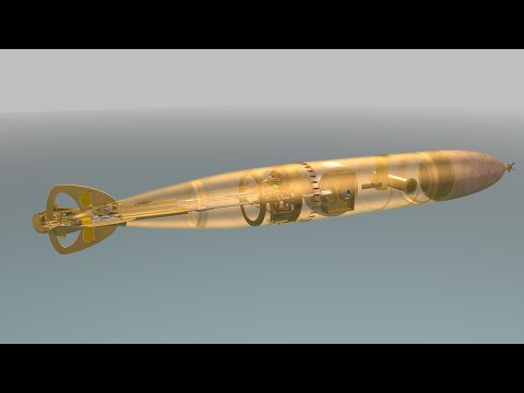 Video: Hvordan Demontere En Torpedo