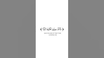 كروما شاشة بيضاء قرآن كريم 🌿تلاوة من سورة الواقعة 🌿القارئ وديع اليمني 🌿