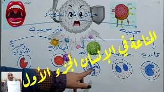 هام المناعة في الإنسان الجزء الأول اعضاء ليمفاوية خلايا ليمفاوية كرات دم بيضاء ٣ث ٢٠٢١  أ/صفاء فاروق