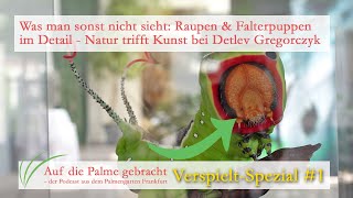 Palmengarten Frankfurt: (Video-)Podcast