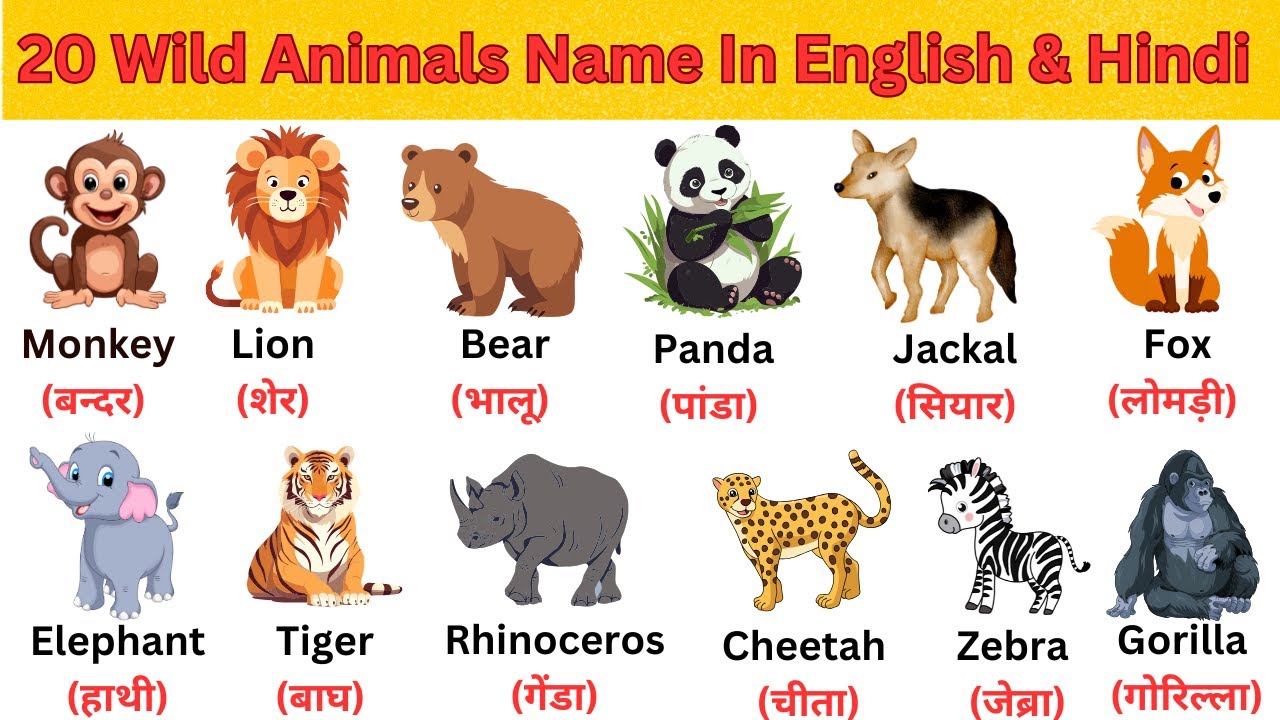 20 Wild Animals Name in Hindi and English with pictures | 20 जंगली ...
