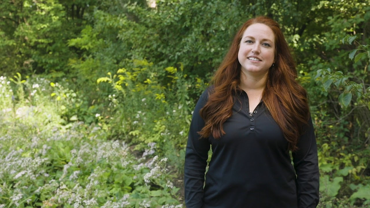 Native Plants for Pollinators and Residential Designs