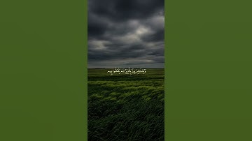 اكتب شيء تؤجر عليه ❤️🎧 #القارئ محمد المنشاوي