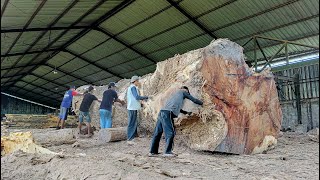 The largest 900 million trembesi timber in Asia!! sawed into meeting table boards at I Sawmill