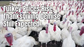 Turkey prices soar ahead of Thanksgiving as US flock now smallest in 40 years
