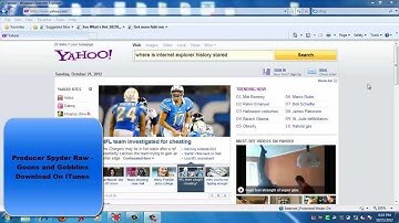 Delete Internet Explorer 8 Browsing History