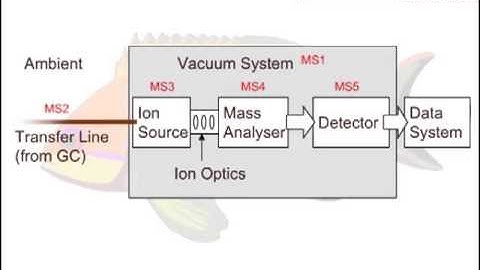 The Fundamentals of GC-MS, Part 2