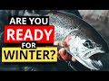How To Fly Fishing For Trout in Winter - Hints and Tips On Lures That Will IMPROVE Your Catch Rate!