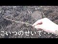 家庭菜園やるわ#6  土が起こせねぇっすＴＴ