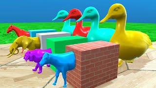 fountain this cow tiger duck hippo horse Elephant crossing fountain animation cartoon funny