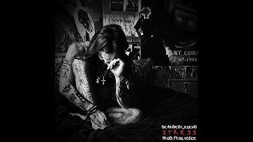 Thumbnail of BEARDED LEGEND - STRESS (PROD. FROG VOICE)