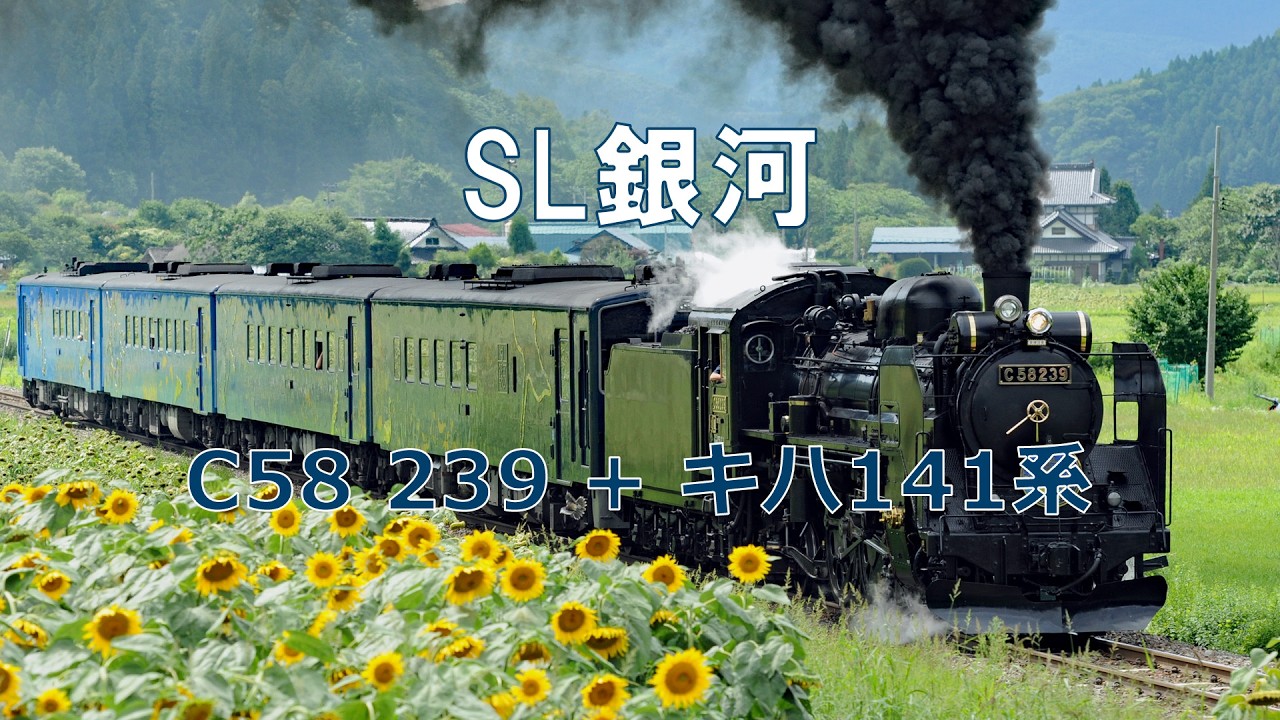 SL銀河 − C58 239 + キハ141系(8621レ) #SL銀河 #C58239 #キハ141系 #8621レ #l足ヶ瀬 #日出 #釜石線 #JR東日本 #鉄道動画