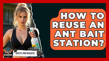 How To Reuse An Ant Bait Station? - Insects and Invaders