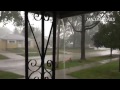 Extreme wind gust takes down large tree limb in St. Clair Shores