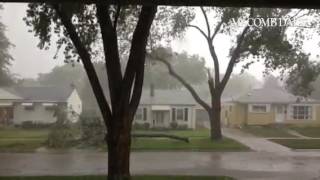 Extreme wind gust takes down large tree limb in St. Clair Shores